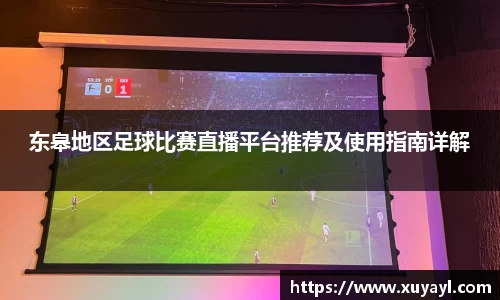 东皋地区足球比赛直播平台推荐及使用指南详解